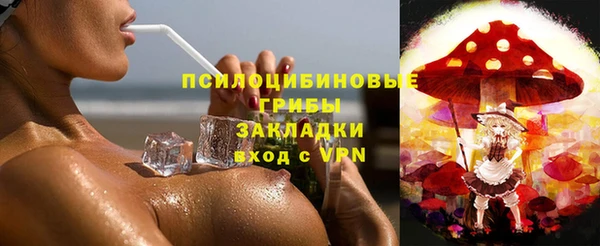 Альфа ПВП Володарск