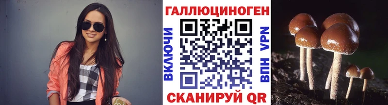 Псилоцибиновые грибы прущие грибы  Купить  Сосновый Бор 